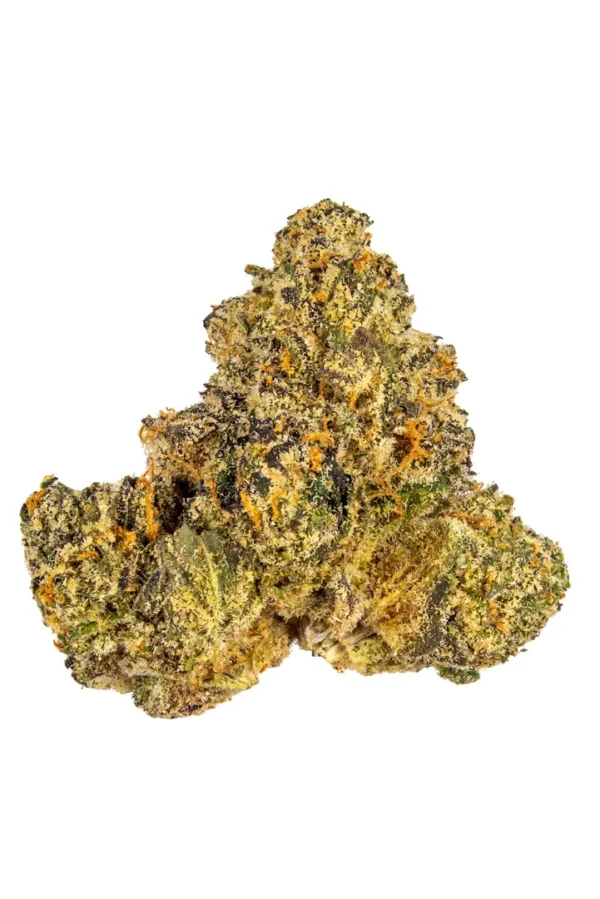 Gelato 41 - Image 2